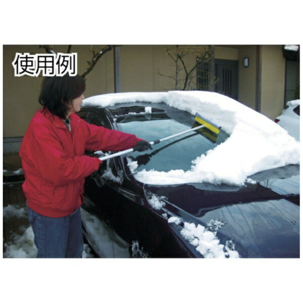 ����ѥ��COMPAL ����ѥ롡����ߥ��Ρ��磻�ѡ���F�� 009866