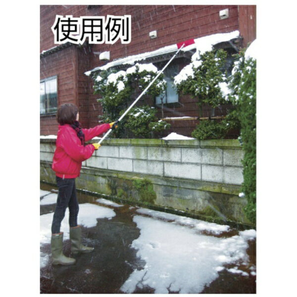 ����ѥ��COMPAL �Ҥ������ (3.9m) 29178