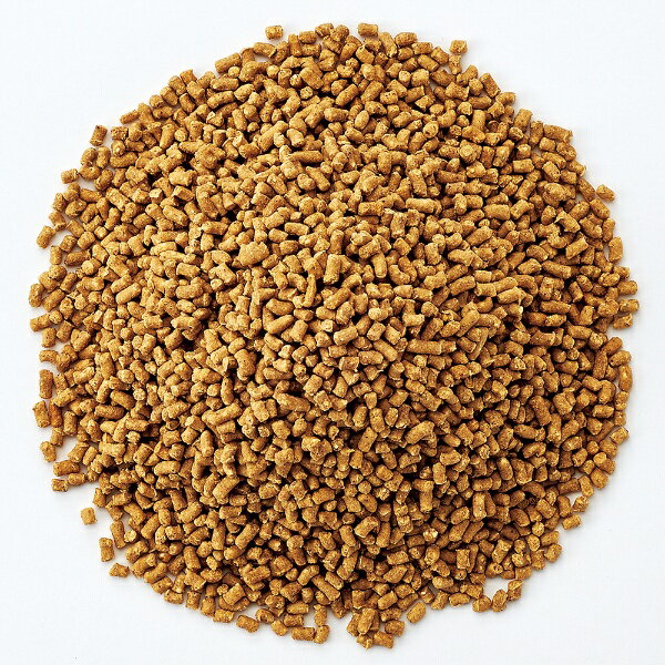 �ޥ륫���MARUKAN ��ɥ������ (30g) [�ڥåȥա���]