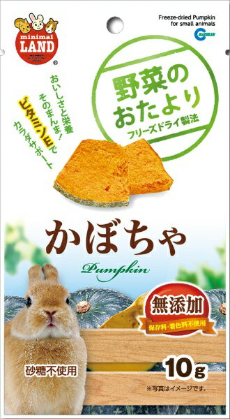 マルカン｜MARUKAN 野菜のおたより　かぼちゃ (10g) [ペットフード]