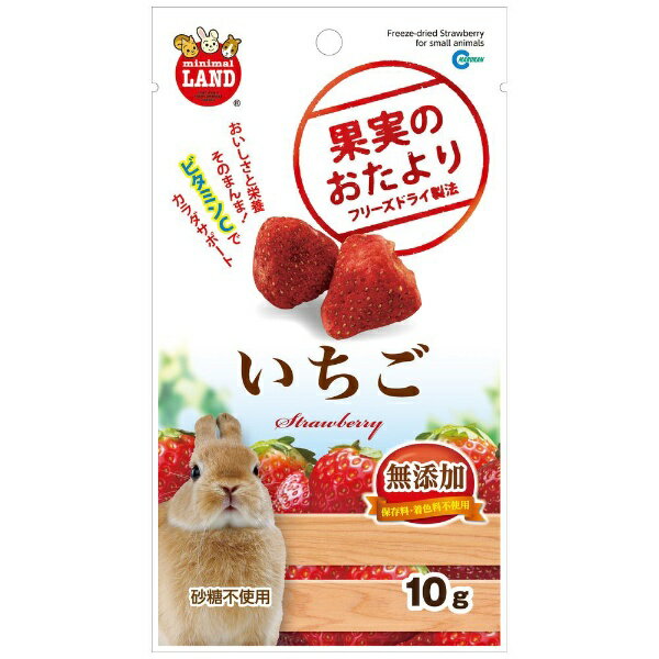 マルカン｜MARUKAN 果実のおたより いちご (10g) [ペットフード]