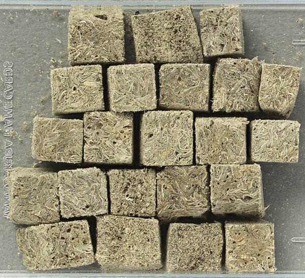 ���ȥ�����Itosui ����å� ���ȥߥߥ�(22g) [�ڥåȥա���]