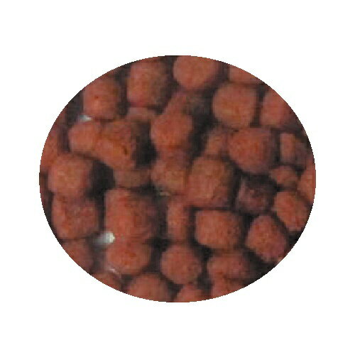 �����å�����GEX ���ȡ��롡Ͷ������ [�ڥå�����]