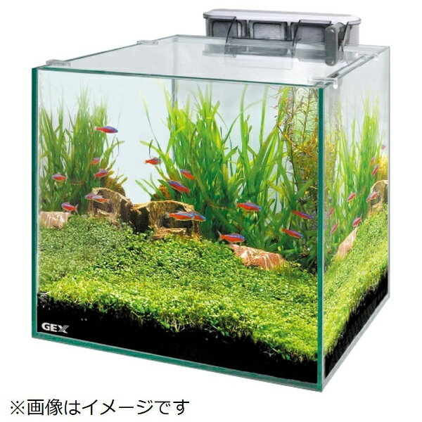 水槽 Gex セット みんな探してる人気モノ 水槽 Gex セット ペット ペットグッズ