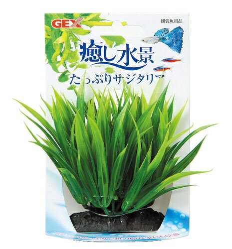 ジェックス｜GEX 癒し水景 たっぷりサジタリア [ペット用品]