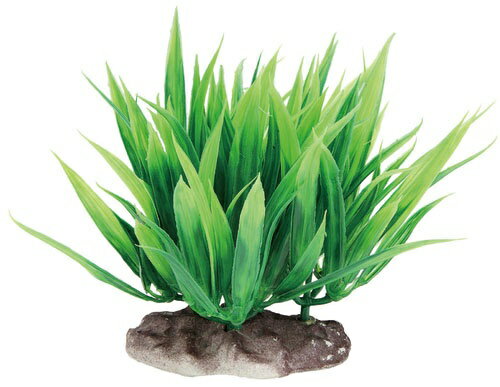 ジェックス｜GEX 癒し水景 たっぷりサジタリア [ペット用品]