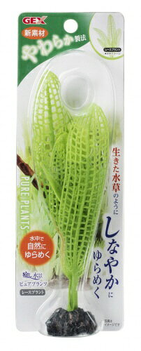 ジェックス｜GEX 癒し水景 ピュアプランツ レースプラント [ペット用品]