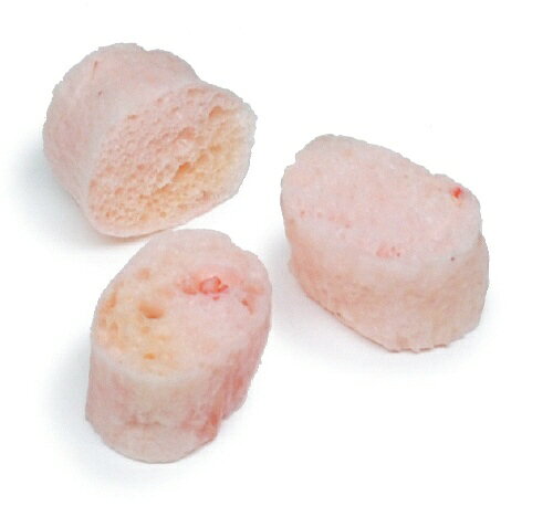 ジェックス｜GEX カメ元気 カメのごちそうパンえび味 (20g) [ペット用品]
