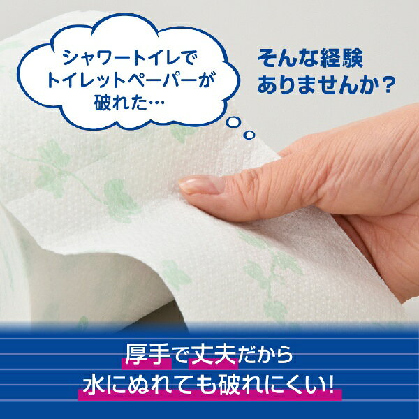 大王製紙｜Daio Paper elleair（エリエール）シャワートイレのためにつくった吸水力が2倍のトイレットペーパー 25m 12ロール DSI823289 biccamera-12576240 楽天ビック(ビックカメラ×楽天) サンプル画像3