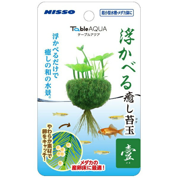 マルカンニッソー｜Marukan NISSO NAP−573 テーブルアクア 浮かべる癒し苔玉壹（イチ)