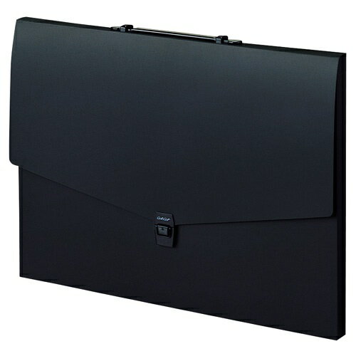 セキセイ｜SEKISEI ケース　フラットタイプ　B3 artart (アルタート) ブラック ART-802-60