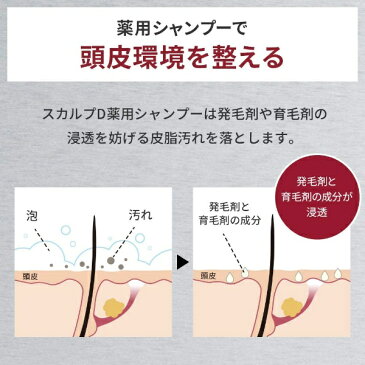 ANGFA アンファー ANGFA(アンファー)スカルプD 薬用スカルプシャンプードライ (350mL)〔シャンプー〕
