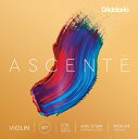 D’Addario|ダダリオ バイオリン弦 A310 1/16M