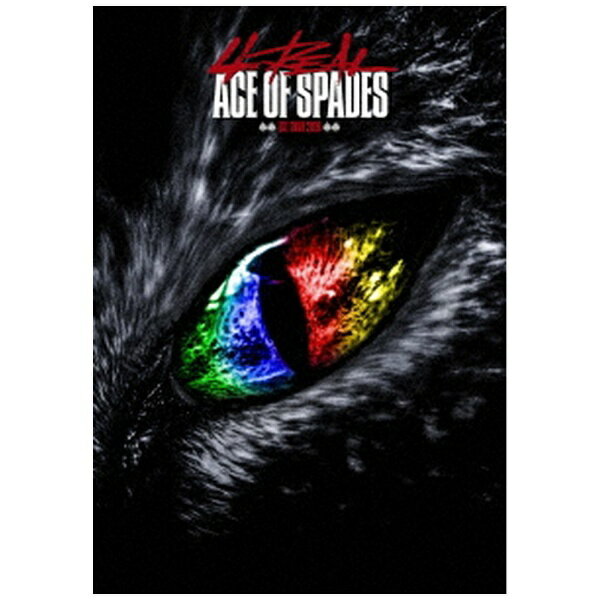 エイベックス・エンタテインメント｜Avex Entertainment ACE OF SPADES/ ACE OF SPADES 1st TOUR 2019 “4REAL” -Legendary night- 初回生産限定盤【ブルーレイ】 【代金引換配送不可】