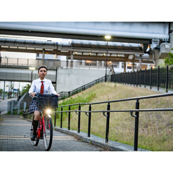 ルイガノLOUISGARNEAU26型電動アシスト自転車LGSASCENTcityアセントシティ390mm(MATTEBLACK/内装3段変速)71258002【組立商品につき返品不可】【代金引換配送不可】