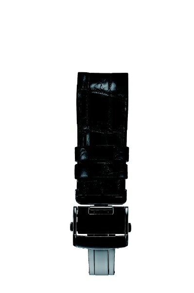SEIKO｜セイコー アストロン 5Xシリーズ オプションバンド かん幅21mm 寸短バンド R7X11DC ブラック（ブラック中留）