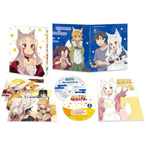 ���f�B�A�t�@�N�g���[�bMEDIA FACTORY ���b�₫�L�c�l�̐�ς��� Vol�D2 DVD   ��������z���s�� 