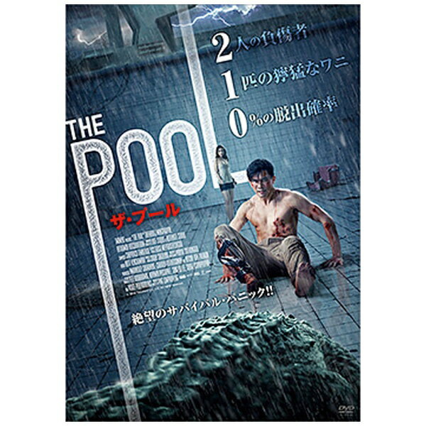 アドニス・スクウェア｜Adonis Square THE POOL ザ・プール【DVD】 【代金引換配送不可】
