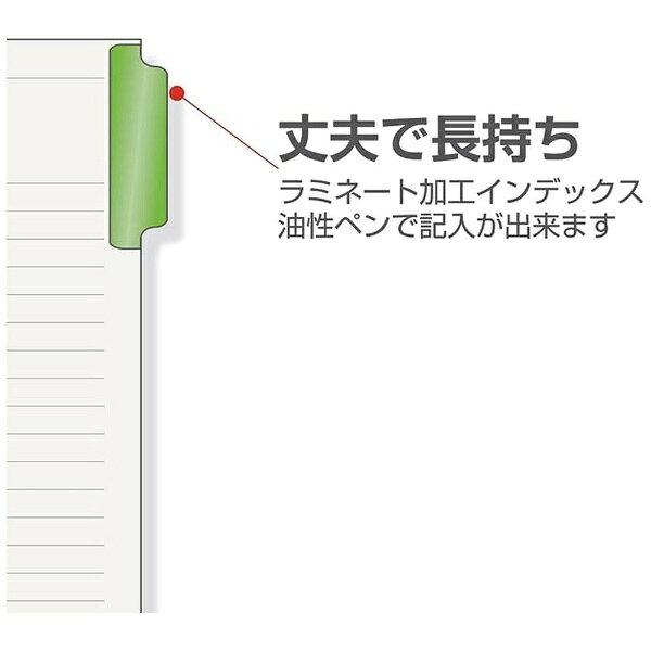 マルマン｜maruman A4 ラミネートタブインデックス 2穴 6山 LT4206