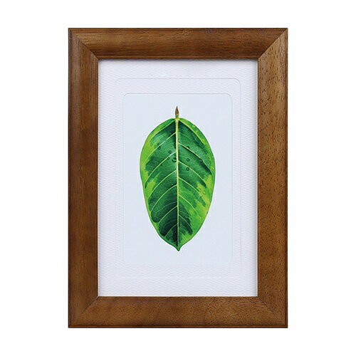 ケンコー・トキナー｜KenkoTokina 写真立て　ゴムの木 ブラウン PSGMBR