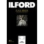 եɡILFORD եɥ꡼ɥեСѡA3Υӡ25ILFORD GALERIE Gold Fibre Pearl 433207[433207]