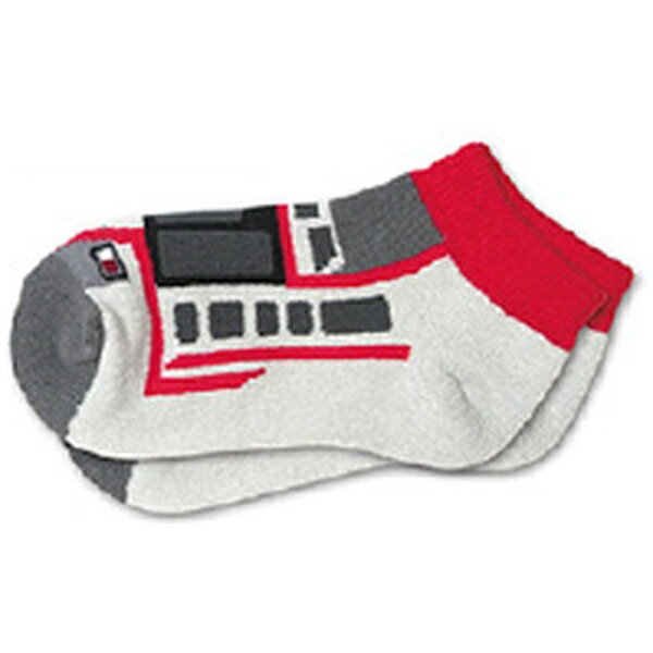 立誠社　Risseisha 鉄下　湘南モノレール　5000系