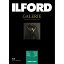 եɡILFORD եɥ꡼åե 260g/m2 (A325)ILFORD GALERIE Glossy Photo 422322[422322]