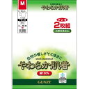 グンゼ｜GUNZE グンゼ　やわらか肌着半袖U首2枚組L SV61162-L