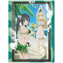 ワーナー ブラザース|Warner Bros ダンジョンに出会いを求めるのは間違っているだろうか II OVA 初回仕様版【DVD】 【代金引換配送不可】