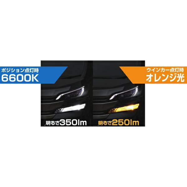 �ڥ���ȥ꡼�Ǻ���2���ݥ�����������1/20�ޤǡ� PIAA�åԥ� LEWP1�������󥫡�/�ݥ��������LED�Х�֡��������Ȼ�12���å�LED�ˡ�12VLED���ݥ������������350lm�������󥫡�������250lm��T20���ָ��б���2������