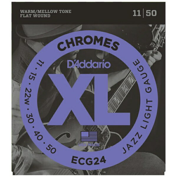 D’Addario｜ダダリオ エレキギター弦 ECG24