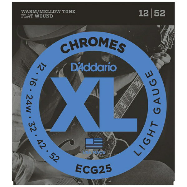 DAddarioåꥪ 쥭 ECG25