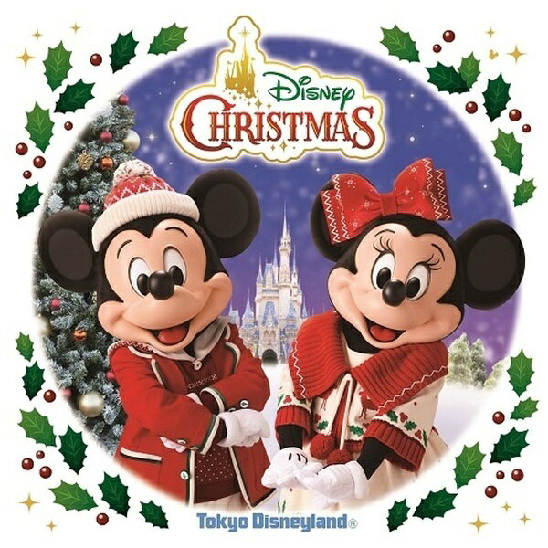 “ディズニーの仲間たちのクリスマスがあふれ出すストーリーブック”をテーマに、ファンタジックで楽しいクリスマスをお届けします。ディズニーの仲間たちが大切な人たちと一緒に過ごすクリスマスの物語が綴られた、ファンタジックで楽しいパレード「ディズニー・クリスマス・ストーリーズ」を収録！ （C）RS