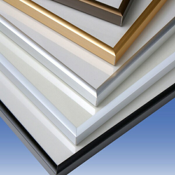 ソフケン｜SOFKEN ラクパネ A0 シルバー