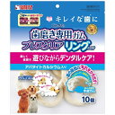 マルカン|MARUKAN ゴン太の歯磨き専用ガム ブレスクリア リングタイプ 10個