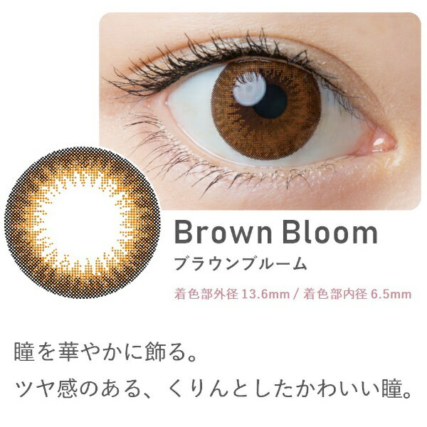 アイレ　AIRE ワンデーキャラアイUVモイスト カラーシリーズ 5枚入［CaraEyes/ワンデー/カラコン/1日使い捨てコンタクトレンズ/度あり/度なし］【分納の場合有り】