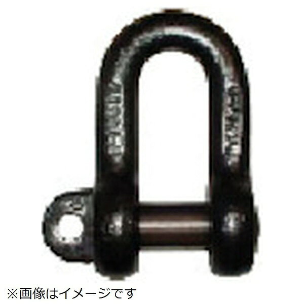 大洋製器工業｜TAIYO 大洋　JISシャックル　M級　ドブ　SC−32 SC-32G
