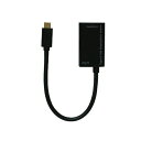 ナカバヤシ｜Nakabayashi 映像変換アダプタ [USB-C オス→メス DisplayPort /USB-Cメス給電 /USB Power Delivery対応 /87W] ブラック USA-PDP1/BK[USAPDP1BK]【rb_pcacc】 1