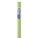 マルアイ|MARUAI マス目模造紙ウグイス2枚巻 11WA