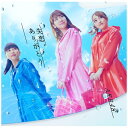 キングレコード｜KING RECORDS AKB48/ 失恋 ありがとう Type C 初回限定盤【CD】 【代金引換配送不可】