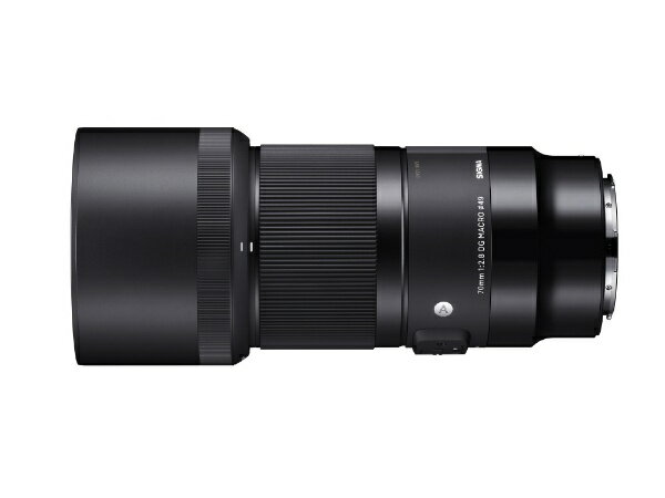 SIGMA�å����� ������󥺡�70mm F2.8 DG MACRO��Art��L�ޥ���ȡ� [�饤��L /ñ�������]