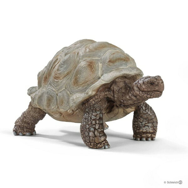 シュライヒジャパン｜Schleich シュライヒ 14824 ゾウガメ