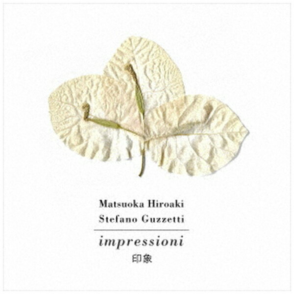 インパートメント｜INPARTMAINT Matsuoka Hiroaki ＋ Stefano Guzzetti/ impressioni / 印象【CD】 【代金引換配送不可】