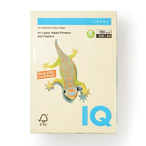 伊東屋｜ito-ya 〔各種プリンタ〕mondi(モンディ) バイオトップカラー 160g/m2 [A4 /250枚] クリーム BT801[BT801]