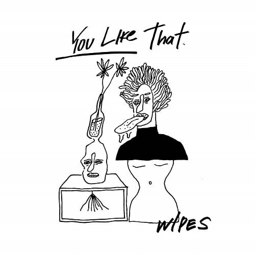 インディーズ WIPES/ YOU LIKE THAT 300枚限定盤【CD】 【代金引換配送不可】