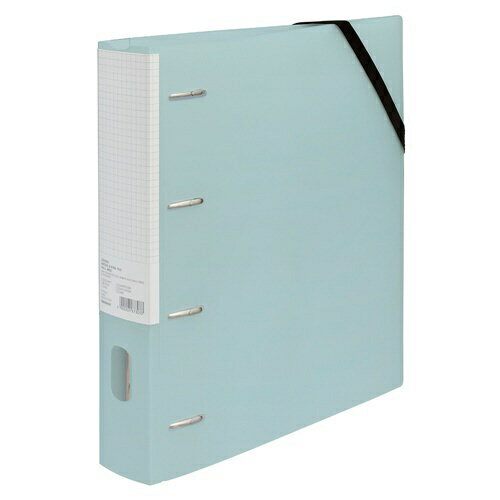 ナカバヤシ｜Nakabayashi どっさり個別Dリングファイル　4穴　A4ワイド・S　ブルー RF1035B