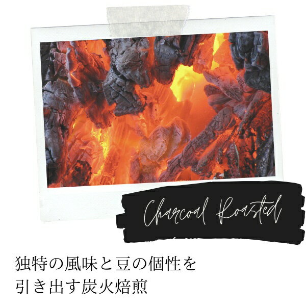 UCC��������å桼�������� UCC �ɥ�åץݥå� DRIP POD ú������ 12P DPSM002