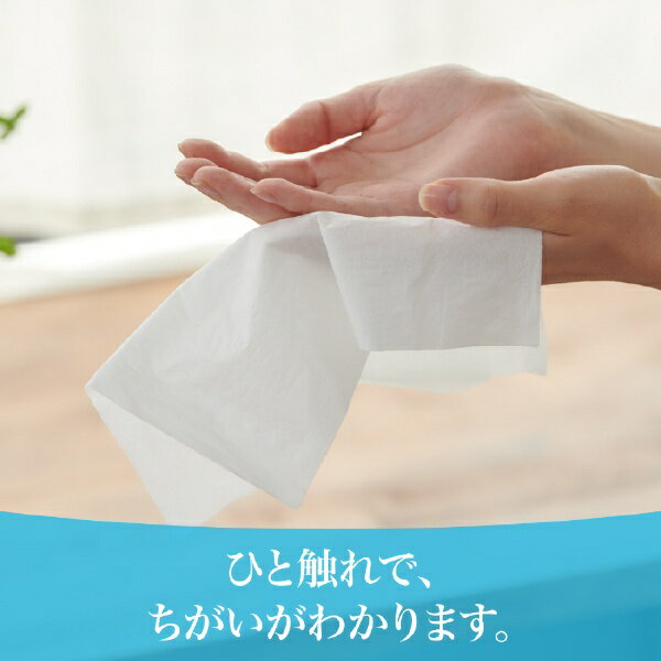 大王製紙｜Daio Paper エリエール＋Water ソフトパック 120組5箱