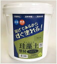 フジワラ化学｜Fujiwara Chemical フジワラ化学 珪藻土壁材MIX 10kg モエギ