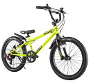 アイデス｜ides 20型 子供用自転車 D-Bike Xstreet 20S(ネオンイエロー/外装6段変速) 3839 